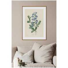 Постер на стену для интерьера Postermarkt Винтажные цветы, постер в золотой рамке 50х70 см, ботаническая иллюстрация №1