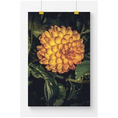 Постер на стену для интерьера Postermarkt Желтый цветок №2, размер 40х50 см, постеры картины для интерьера в тубусе