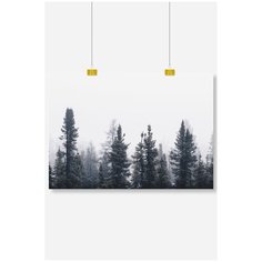 Постер на стену для интерьера Postermarkt Темный лес, размер 40х50 см, постеры картины для интерьера в тубусе