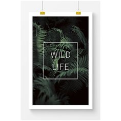 Постер на стену для интерьера Postermarkt Wild life, размер 40х50 см, постеры картины для интерьера в тубусе