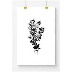 Постер на стену для интерьера Postermarkt Цветы черными красками, размер 40х50 см, постеры картины для интерьера в тубусе