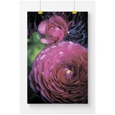Постер на стену для интерьера Postermarkt Алые цветы, размер 40х50 см, постеры картины для интерьера в тубусе