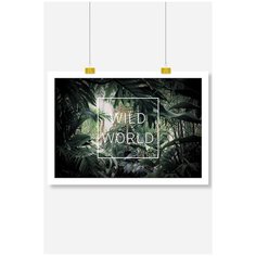 Постер на стену для интерьера Postermarkt Wild world, размер 40х50 см, постеры картины для интерьера в тубусе