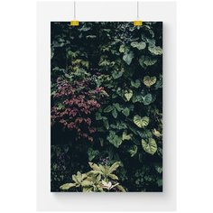 Постер на стену для интерьера Postermarkt Темная зелень №3, размер 40х50 см, постеры картины для интерьера в тубусе
