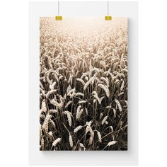 Постер на стену для интерьера Postermarkt Поле пшеницы, размер 40х50 см, постеры картины для интерьера в тубусе
