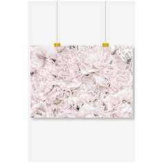 Постер на стену для интерьера Postermarkt Белые пионы №2 , размер 40х50 см, постеры картины для интерьера в тубусе
