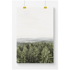 Постер на стену для интерьера Postermarkt Еловый лес, размер 40х50 см, постеры картины для интерьера в тубусе