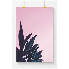 Постер на стену для интерьера Postermarkt Листья на розовом фоне, размер 40х50 см, постеры картины для интерьера в тубусе