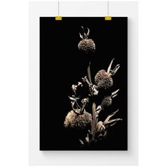 Постер на стену для интерьера Postermarkt Растение на черном фоне, размер 40х50 см, постеры картины для интерьера в тубусе