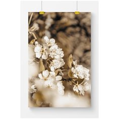 Постер на стену для интерьера Postermarkt Бело бежевые цветы №2, размер 50х70 см, постеры картины для интерьера в тубусе
