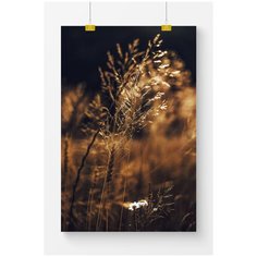 Постер на стену для интерьера Postermarkt Полевое растение, размер 50х70 см, постеры картины для интерьера в тубусе