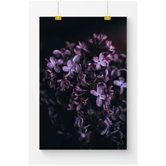 Постер на стену для интерьера Postermarkt Фиолетовые цветы, размер 60х90 см, постеры картины для интерьера в тубусе