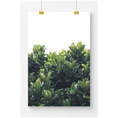 Постер на стену для интерьера Postermarkt Растение №12, размер 60х90 см, постеры картины для интерьера в тубусе