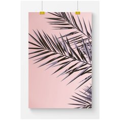 Постер на стену для интерьера Postermarkt Пальма на розовом фоне №2, размер 60х90 см, постеры картины для интерьера в тубусе