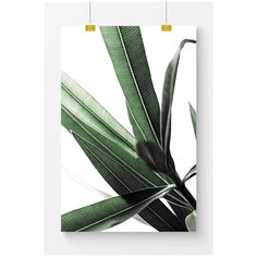 Постер на стену для интерьера Postermarkt Растение №8, размер 40х50 см, постеры картины для интерьера в тубусе
