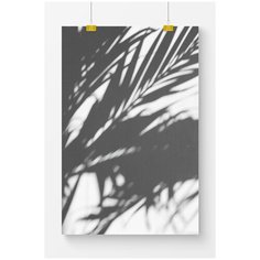 Постер на стену для интерьера Postermarkt Тень от пальмы, размер 40х50 см, постеры картины для интерьера в тубусе