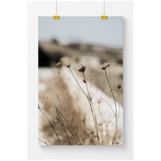 Постер на стену для интерьера Postermarkt Сухие полевые растения №2, размер 50х70 см, постеры картины для интерьера в тубусе