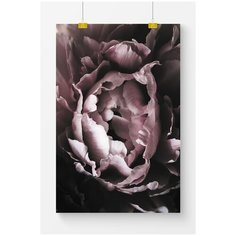 Постер на стену для интерьера Postermarkt Темно розовый цветок, размер 60х90 см, постеры картины для интерьера в тубусе