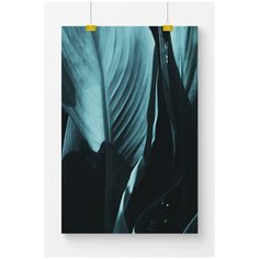 Постер на стену для интерьера Postermarkt Темно синие листья №2, размер 50х70 см, постеры картины для интерьера в тубусе