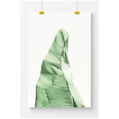 Постер на стену для интерьера Postermarkt Лист на белом фоне №2, размер 70х100 см, постеры картины для интерьера в тубусе