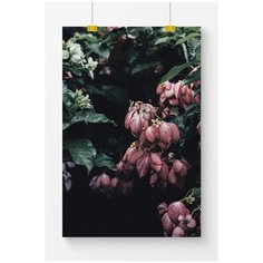 Постер на стену для интерьера Postermarkt Темная зелень №2, размер 50х70 см, постеры картины для интерьера в тубусе