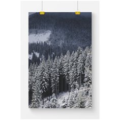 Постер на стену для интерьера Postermarkt Зимний лес, размер 60х90 см, постеры картины для интерьера в тубусе