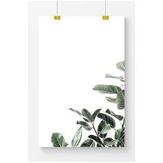 Постер на стену для интерьера Postermarkt Растение №4, размер 60х90 см, постеры картины для интерьера в тубусе