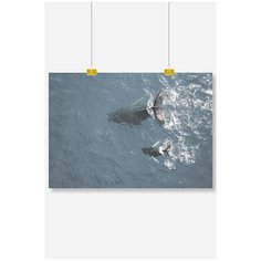 Постер на стену для интерьера Postermarkt Два кита в море, размер 60х90 см, постеры картины для интерьера в тубусе