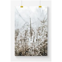 Постер на стену для интерьера Postermarkt Зимние растения №2, размер 60х90 см, постеры картины для интерьера в тубусе