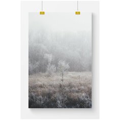 Постер на стену для интерьера Postermarkt Деревья в инее, размер 40х50 см, постеры картины для интерьера в тубусе