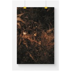Постер на стену для интерьера Postermarkt Коричневые листья №2, размер 40х50 см, постеры картины для интерьера в тубусе