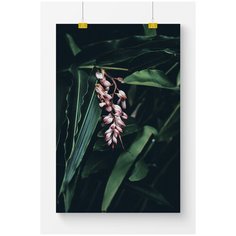 Постер на стену для интерьера Postermarkt Темная зелень №1, размер 60х90 см, постеры картины для интерьера в тубусе