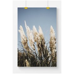 Постер на стену для интерьера Postermarkt Сухие растения в поле, размер 60х90 см, постеры картины для интерьера в тубусе