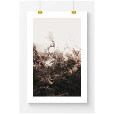 Постер на стену для интерьера Postermarkt Природа в коричневых тонах №2, размер 50х70 см, постеры картины для интерьера в тубусе