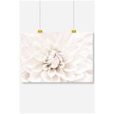 Постер на стену для интерьера Postermarkt Кремовый цветок, размер 60х90 см, постеры картины для интерьера в тубусе