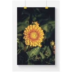 Постер на стену для интерьера Postermarkt Желтый цветок №1, размер 50х70 см, постеры картины для интерьера в тубусе