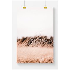 Постер на стену для интерьера Postermarkt Сухая трава в поле №2, размер 70х100 см, постеры картины для интерьера в тубусе