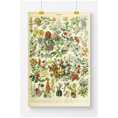 Постер на стену для интерьера Postermarkt Винтажный постер Цветы №1, размер 50х70 см, постеры картины для интерьера в тубусе