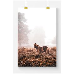 Постер на стену для интерьера Postermarkt Лошадь в траве, размер 70х100 см, постеры картины для интерьера в тубусе