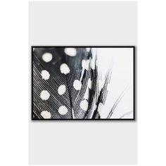 Постер на стену для интерьера Postermarkt Перо, постер в черной рамке 40х50 см, постеры картины для интерьера в черной рамке