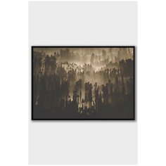Постер на стену для интерьера Postermarkt Коричневый лес, постер в черной рамке 30х40 см, постеры картины для интерьера в черной рамке