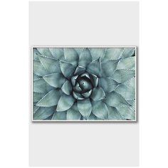 Постер на стену для интерьера Postermarkt Суккулент №2, постер в белой рамке 40х50 см, постеры картины для интерьера в белой рамке