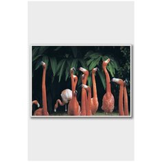 Постер на стену для интерьера Postermarkt Фламинго, постер в белой рамке 40х50 см, постеры картины для интерьера в белой рамке