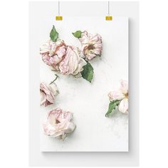 Постер на стену для интерьера Postermarkt Розовые цветы на белом фоне, размер 70х100 см, постеры картины для интерьера в тубусе