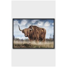 Постер на стену для интерьера Postermarkt Северная корова, постер в черной рамке 50х70 см, постеры картины для интерьера в черной рамке