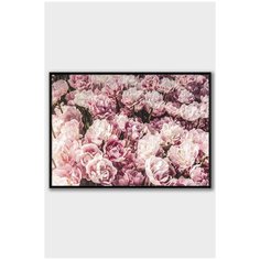 Постер на стену для интерьера Postermarkt Розовые цветы, постер в черной рамке 50х70 см, постеры картины для интерьера в черной рамке