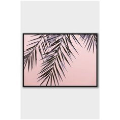 Постер на стену для интерьера Postermarkt Ветка пальмы на розовом фоне, постер в черной рамке 50х70 см, постеры картины для интерьера в черной рамке