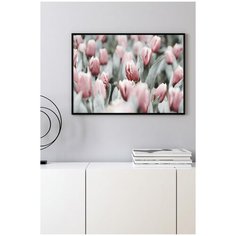 Постер в черной рамке Postermarkt "Розовые тюльпаны", 40х50 см