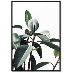 Постер в рамке Postermarkt "Зеленые листья", 40х50 см