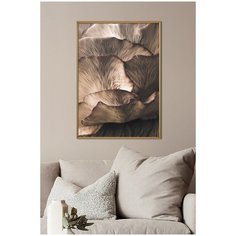 Постер на стену для интерьера Postermarkt Коричневые грибы, постер в золотой рамке 50х70 см, постеры картины для интерьера в золотой рамке